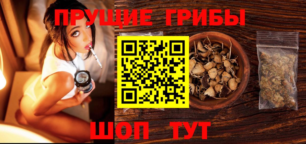 Карталы  Галлюциногенные грибы Psilocybe  Галлюциногенные грибы Psilocybe  Вход с VPN 